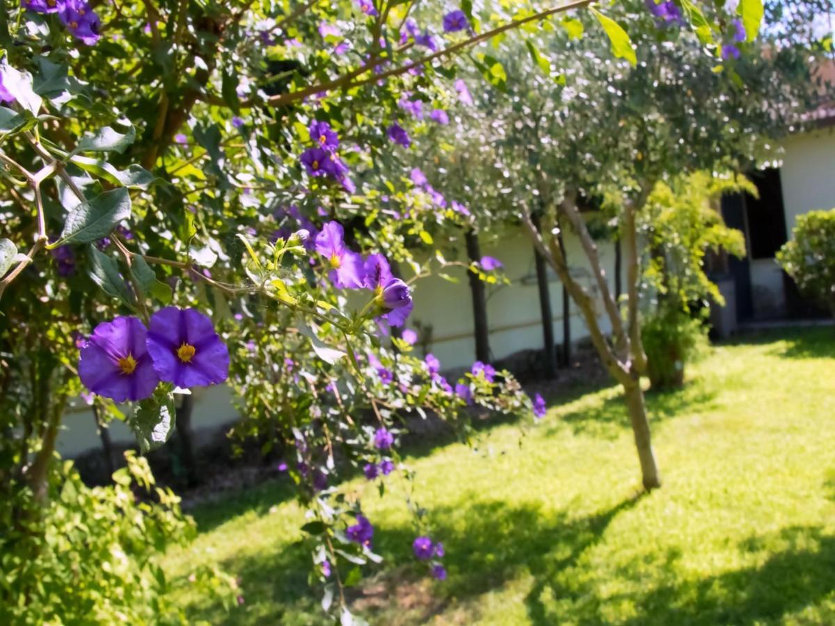 Apartamento A Casa Tua Ostia Antica Exterior foto